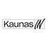 Kaunas IN, VšĮ