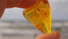 UAB „AMBER AREA“ UAB „AMBER AREA“
