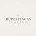 Rūpestingas žvilgsnis, VšĮ