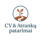 CV Patarimai