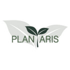 MB „Plantaris“