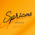 Spricas, UAB