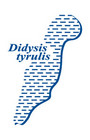 UAB "DIDYSIS TYRULIS" UAB "DIDYSIS TYRULIS"