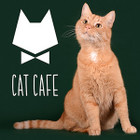 UAB „Kačių“ kavinė